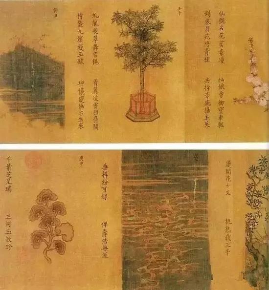 杨婕妤《百花图》